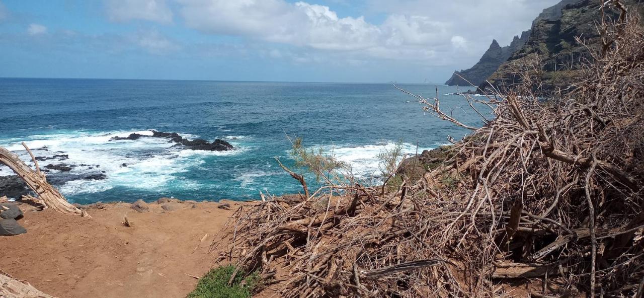 Playa Y Montana: Naturaleza Y Armonia Сан-Кристобаль-де-Ла-Лагуна Экстерьер фото