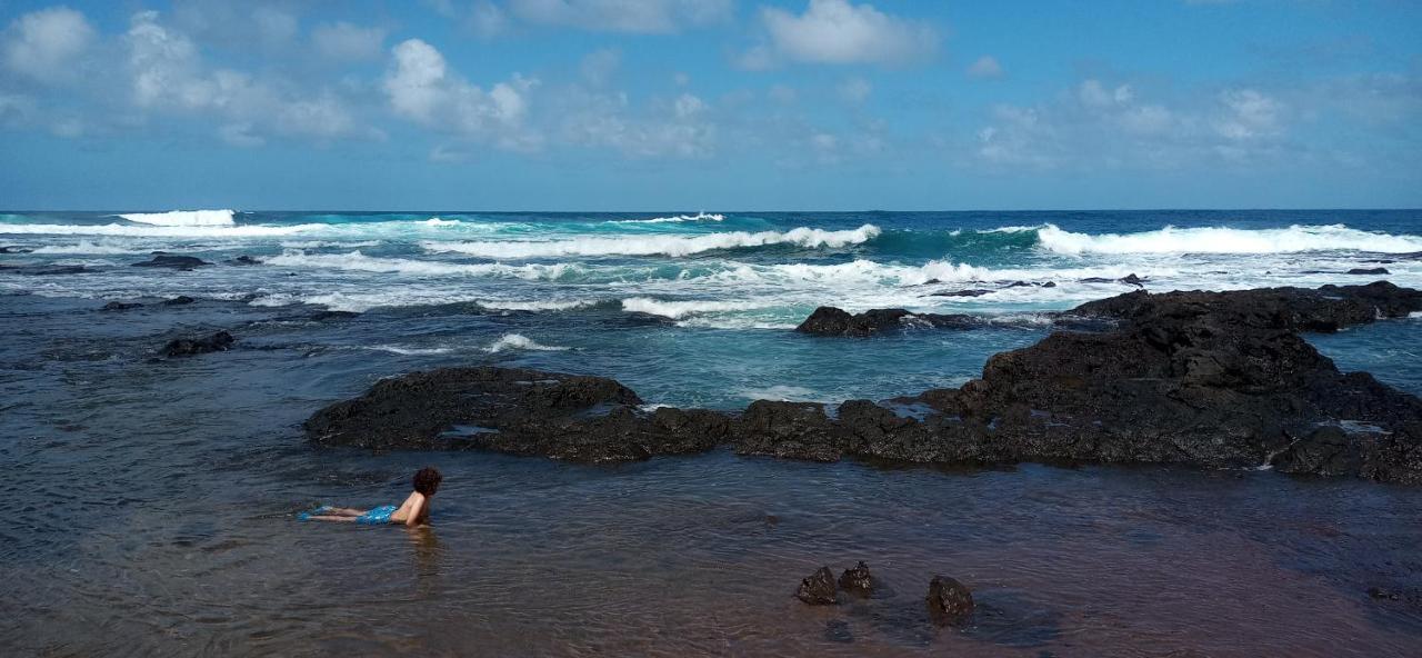 Playa Y Montana: Naturaleza Y Armonia Сан-Кристобаль-де-Ла-Лагуна Экстерьер фото