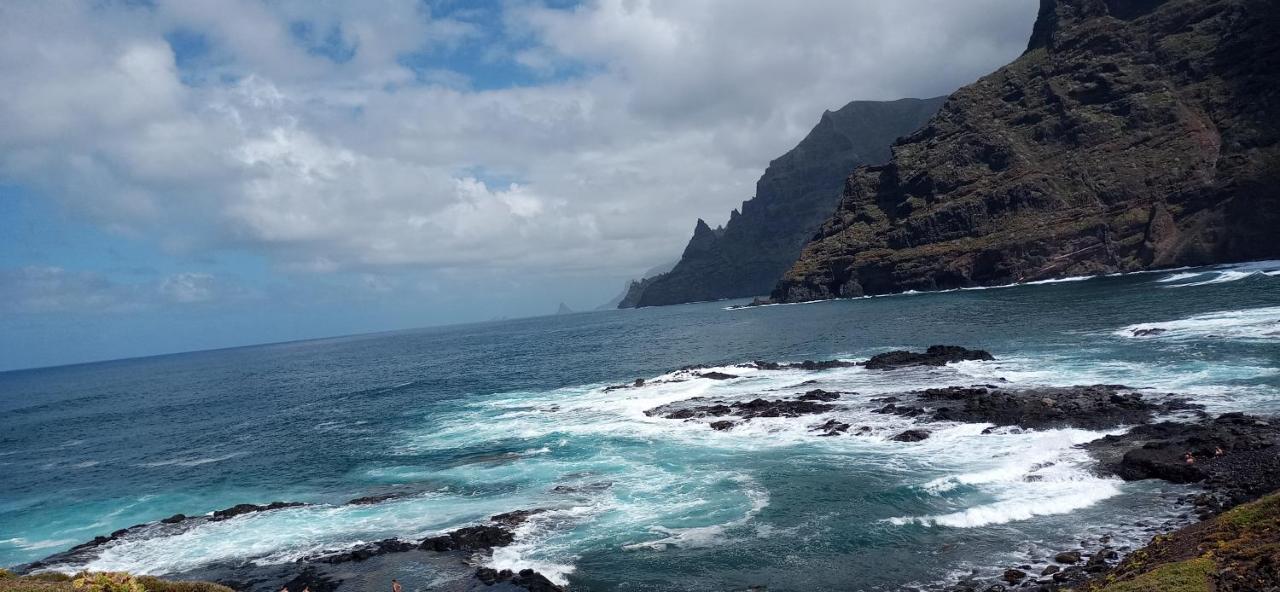 Playa Y Montana: Naturaleza Y Armonia Сан-Кристобаль-де-Ла-Лагуна Экстерьер фото