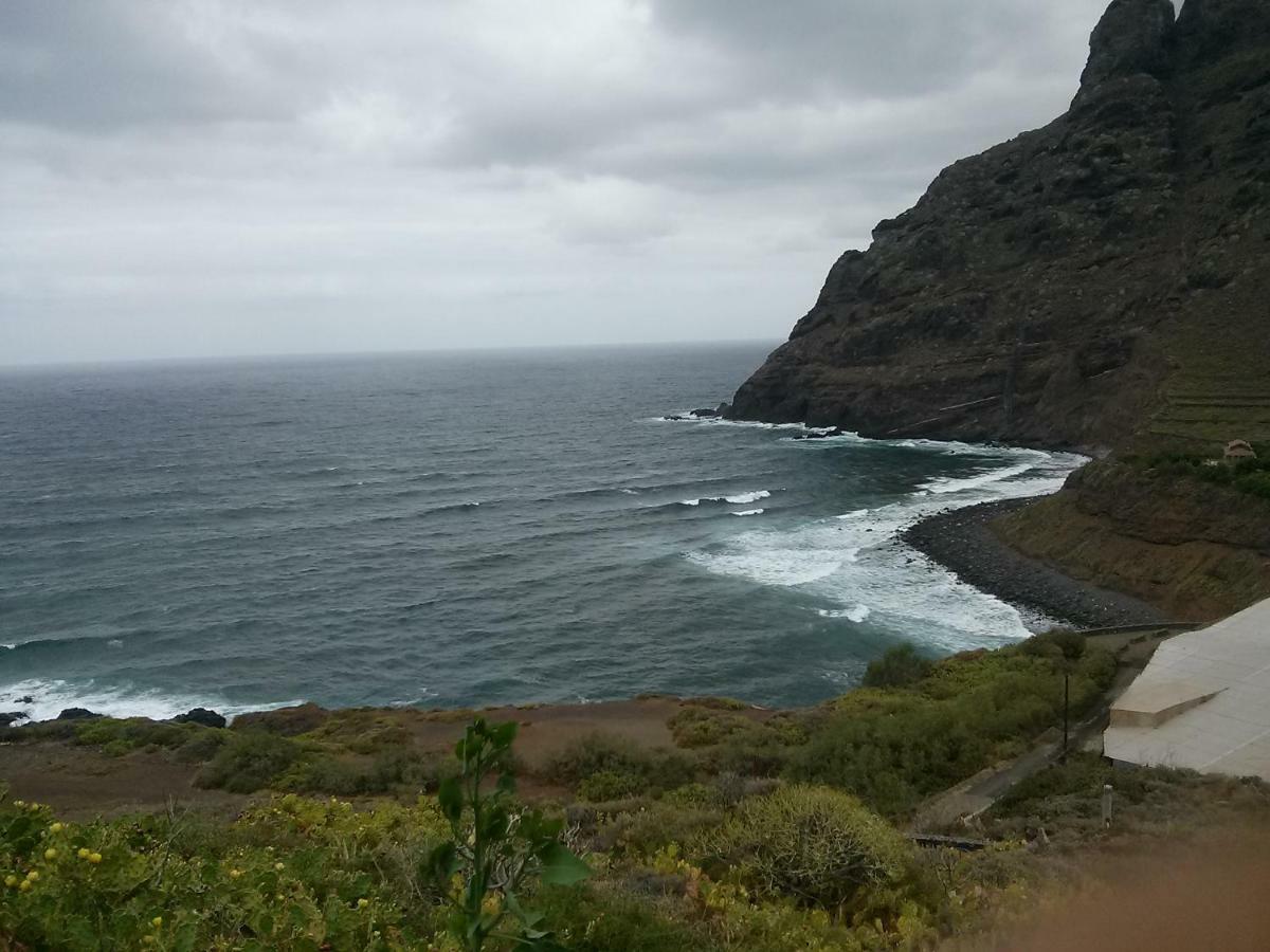 Playa Y Montana: Naturaleza Y Armonia Сан-Кристобаль-де-Ла-Лагуна Экстерьер фото