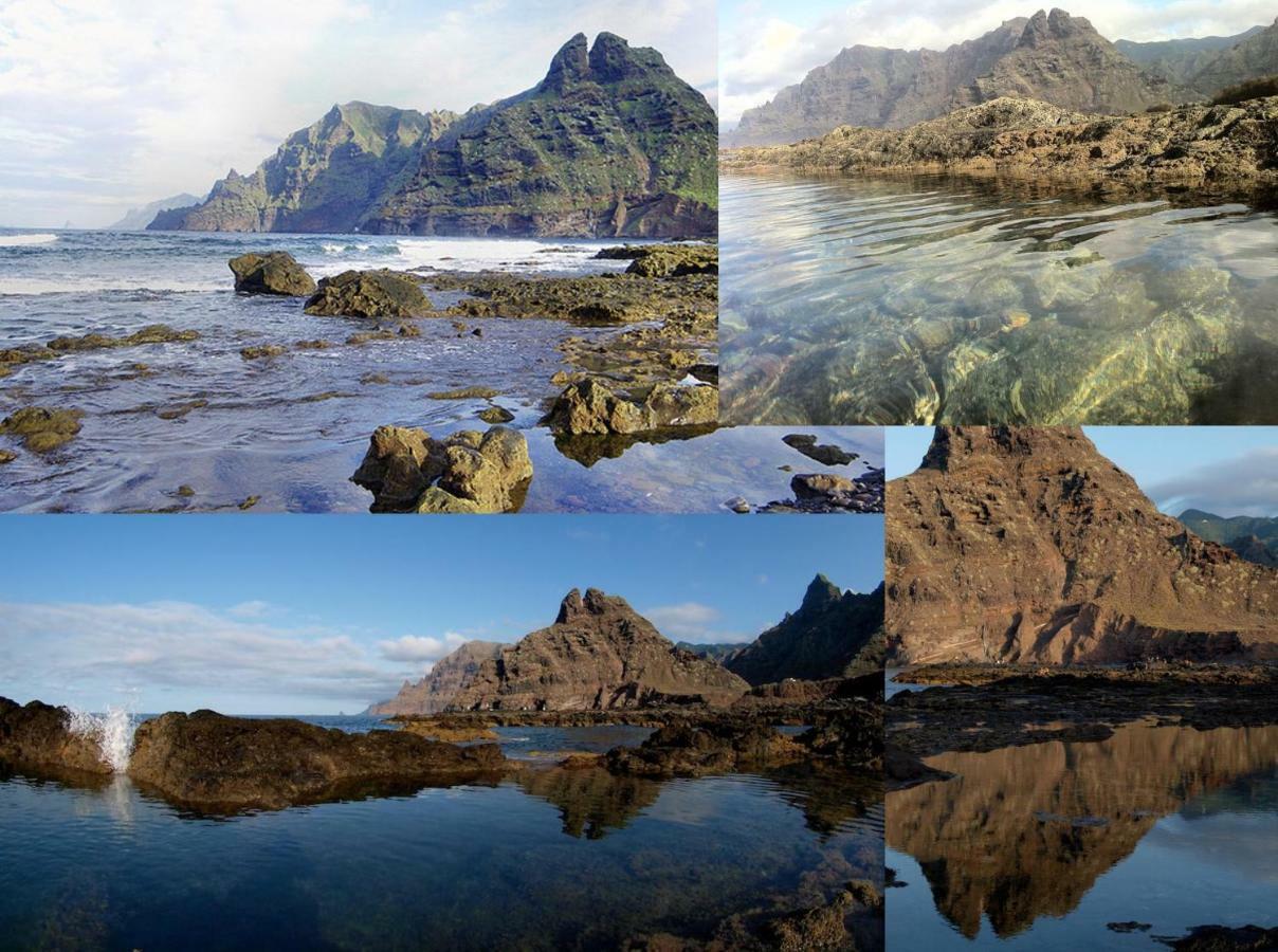 Playa Y Montana: Naturaleza Y Armonia Сан-Кристобаль-де-Ла-Лагуна Экстерьер фото